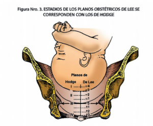 Planos