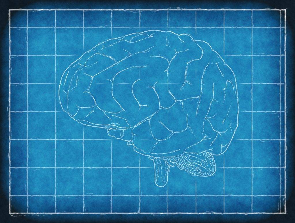 La epilepsia, secuela de negligencia médica