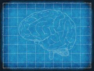 La epilepsia, secuela de negligencia médica